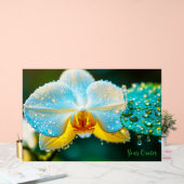 Elegante weiße Orchidee mit Wassertropfen Botanik Acrylschild (Hochzeit)