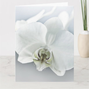 Elegante weiße Orchideen-Botanik-Kunst Karte