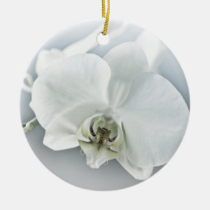 Elegante weiße Orchideen-Botanik-Kunst Keramik Ornament