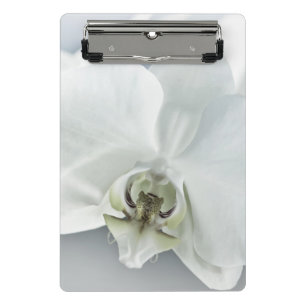 Elegante weiße Orchideen-Botanik-Kunst Mini Klemmbrett