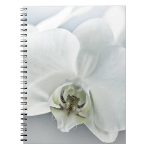 Elegante weiße Orchideen-Botanik-Kunst Notizblock