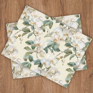 Elegante weiße Phalaenopsis-Orchideen-Blumen  Seidenpapier