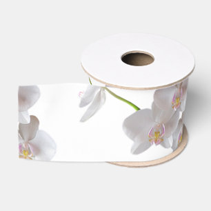 Elegante weiße rosa Orchideen auf irgendeiner Ripsband