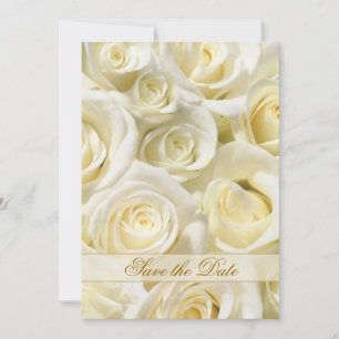 Elegante, weiße Rose Save the Date Einladung