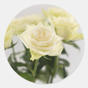 Elegante weiße Rosen Blumenfotografie Runder Aufkleber