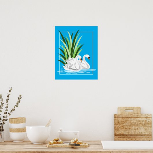 Elegante weiße Schwäne auf blauem Wasser Poster (Küche)