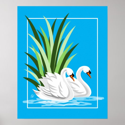 Elegante weiße Schwäne auf blauem Wasser Poster (Vorne)
