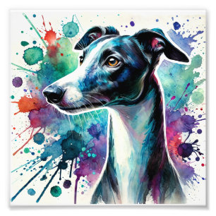 Elegante Whippet Watercolor Fotodruck