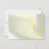 Elegante White Calla Lily RSVP Karte (Rückseite)