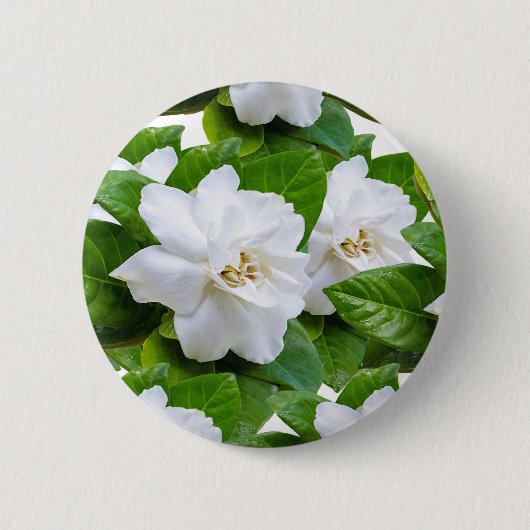 : "Elegante White Gardenia Blume" Button (Vorderseite)