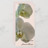 Elegante White Orchid Wedding Programm (Vorne/Hinten)