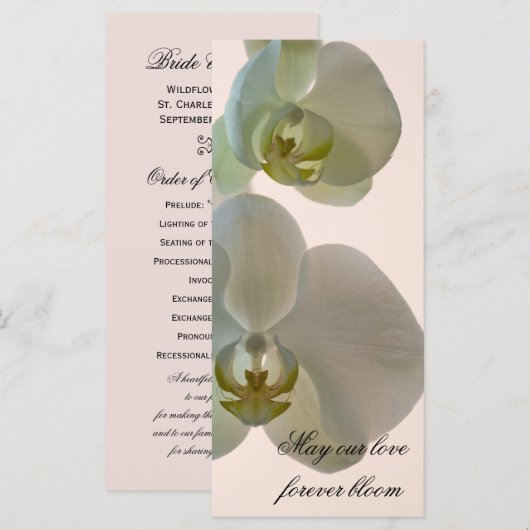 Elegante White Orchid Wedding Programm (Vorne/Hinten)