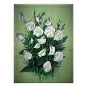 Elegante White Sweet Pea Blume Fotodruck (Vorne)