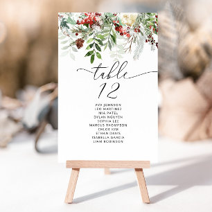 Elegante Winter-Hochzeitstisch-Sitzplan-Karten Einladung