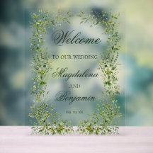 Elegante zarte Grünpflanzen Botanischer Garten Hoc