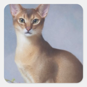 Eleganter Abessinier – Katzenaufkleber Quadratischer Aufkleber