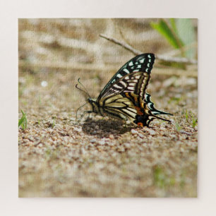 Eleganter asiatischer Frack Butterfly - Detaillier Puzzle