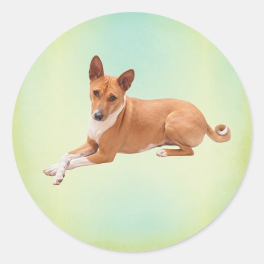 Eleganter Basenji-Hund Runder Aufkleber (Vorderseite)