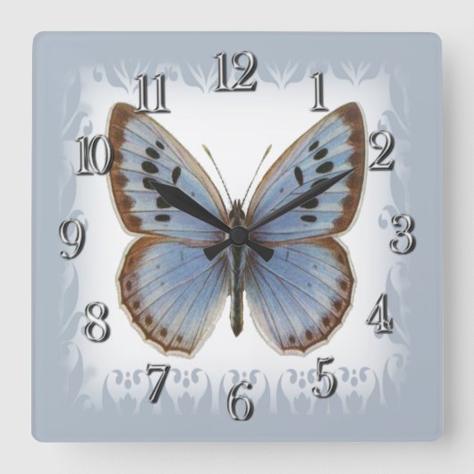 Eleganter Big Blue und schöner Schmetterling Quadratische Wanduhr (Vorderseite)