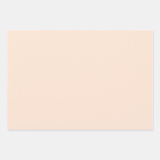 Eleganter, blasser Pfirsich Minimalistisch und ele Geschenkpapier Set (Vorderseite 3)