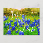 Eleganter Bluebonnets Spring Save the Date Ankündigungspostkarte (Vorderseite)