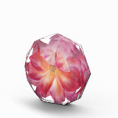 Eleganter Blumenblock Rose Blossom Foto Block (Rechts)