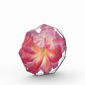 Eleganter Blumenblock Rose Blossom Foto Block (Links)