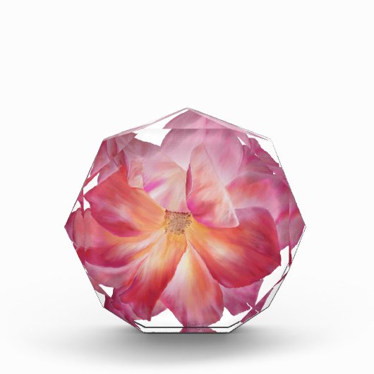 Eleganter Blumenblock Rose Blossom Foto Block (Vorderseite)