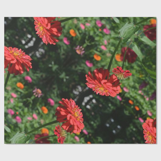 Eleganter Blumengarten in Rot-Orange Geschenkpapier (Flach)