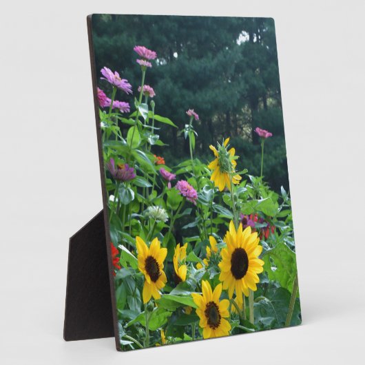 Eleganter Blumengarten Sonnenblumen zinnias daisis Fotoplatte (Seite)