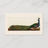 Eleganter bunter Pfau-Vintage Geschäfts-Karte Visitenkarte (Rückseite)
