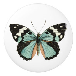 Eleganter Butterfly Aquamariner weißer Keramik Keramikknauf