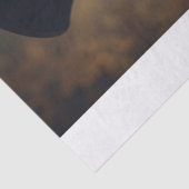 Eleganter Chiui Seidenpapier (Ausschnitt)