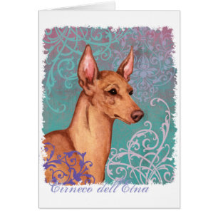 Eleganter Cirneco dell'Etna Card