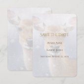 Eleganter einfacher Hirschschschnee Save The Date (Vorne/Hinten)