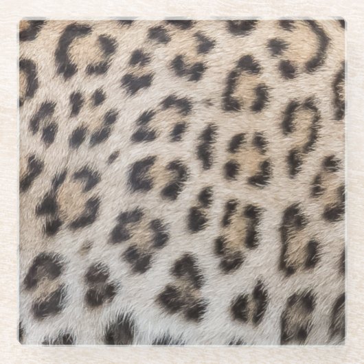Eleganter, eleganter Leopardengeflecht Glasuntersetzer (Vorderseite)
