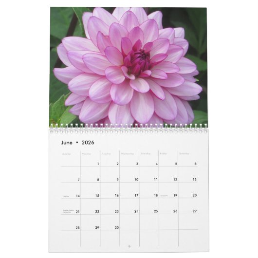 Eleganter farbenfroher Dahlias Botanischer Kalende Kalender (Jun 2026)