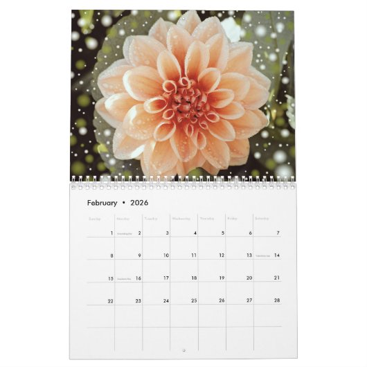 Eleganter farbenfroher Dahlias Botanischer Kalende Kalender (Feb 2026)