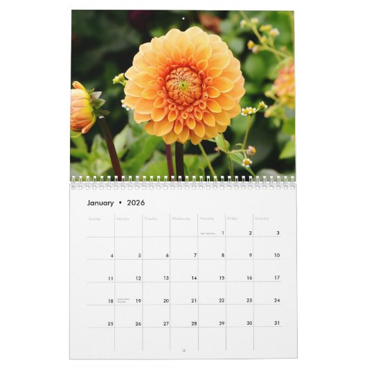 Eleganter farbenfroher Dahlias Botanischer Kalende Kalender (Jan 2026)