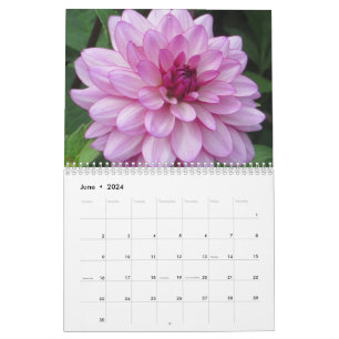 Eleganter farbenfroher Dahlias Botanischer Kalende Kalender