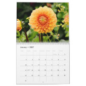 Eleganter farbenfroher Dahlias Botanischer Kalende Kalender (Jan 2027)