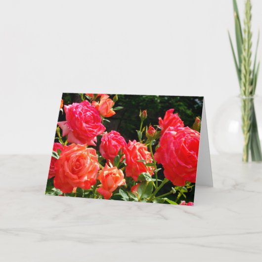 Eleganter Garten mit orangefarbenen Rose Rose Karte (Vorderseite)