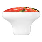 Eleganter Garten mit orangefarbenen Rose Rose Keramikknauf (Seitenansicht)