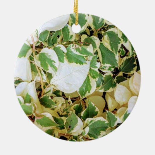 Eleganter Garten Rustikal Keramik Ornament (Hinten)