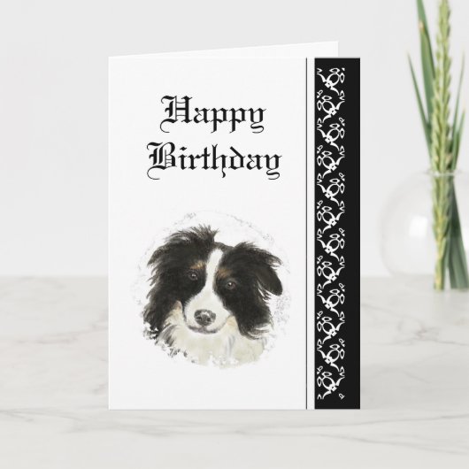 Eleganter Geburtstag, Grenz-Collie-Dog-Begleiter Karte (Vorderseite)