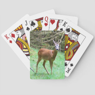 Eleganter Geweihhirsch Naturszene Landleben Kunst Spielkarten