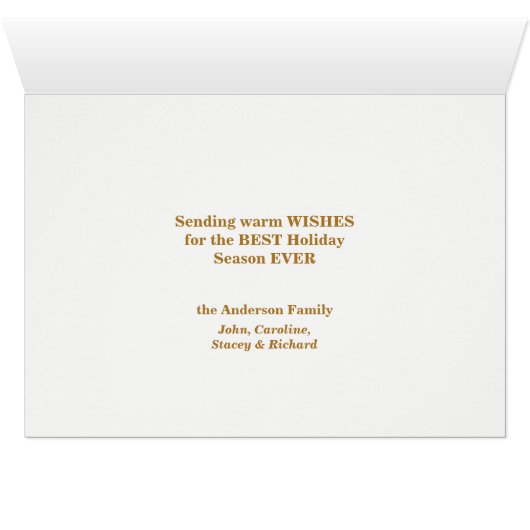 Eleganter Golden Ribbon Snowflake Bulb Familienurl (Innenansicht Horizontal (Unten))