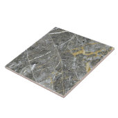 Eleganter grauer und weißer Marmor Keramik Tile Fliese (Seite)