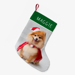 Eleganter grüner Hund Foto mit individuellem Namen Kleiner Weihnachtsstrumpf