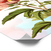 Eleganter Hibiskus Blume Botanische Schrift Poster (Ecke)
